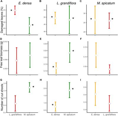 herbivory on freshwater and marine macrophytes a review and perspective